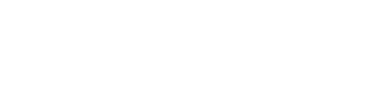 Stellar partner logo in white