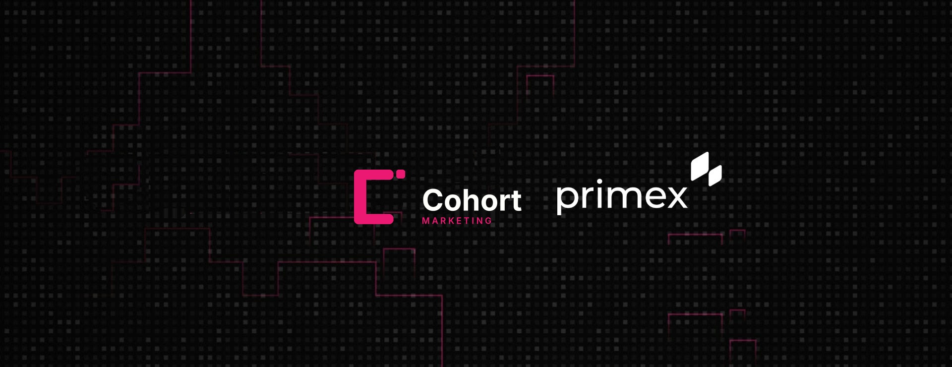 Primex Finance: Fundraising Challenge